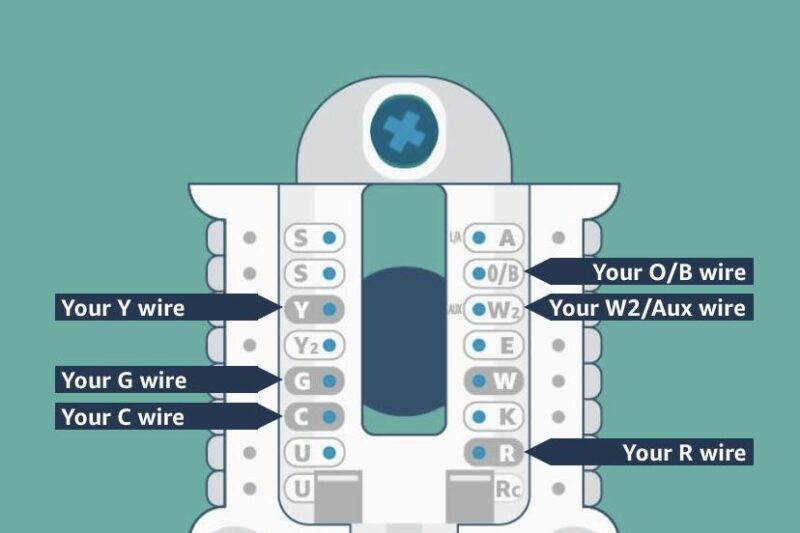 Amazon Thermostat Wiring Diagram