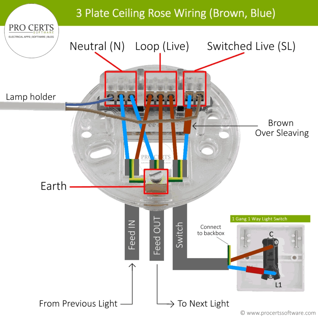 Ceiling Rose Wiring Lighting Circuits