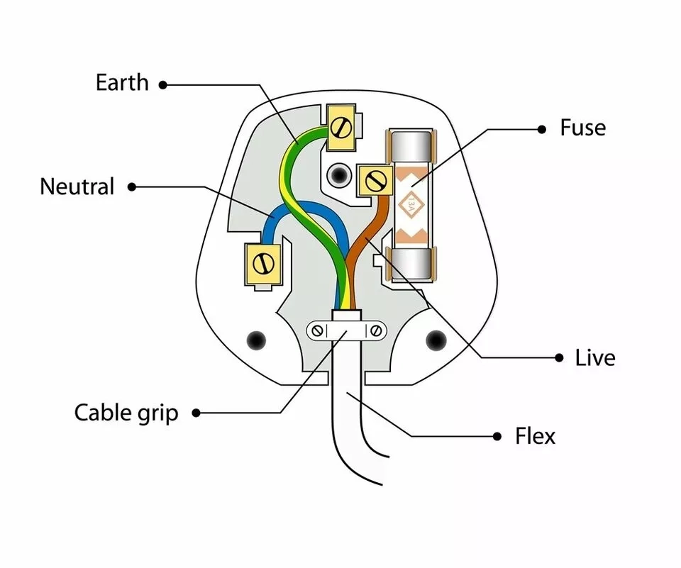 Plug Wiring Diagram 101